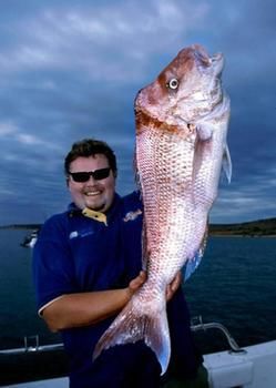 Foreshore Motor 4* Whyalla